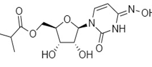 Molnupiravir
