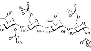 Dalteparin
