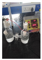 500ml divided H-cell