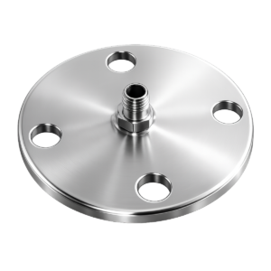 SS316 Flanges (Custom)